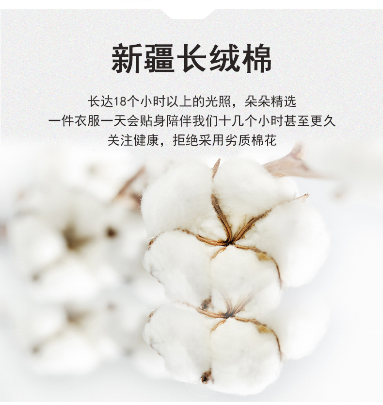 详情 (3).jpg
